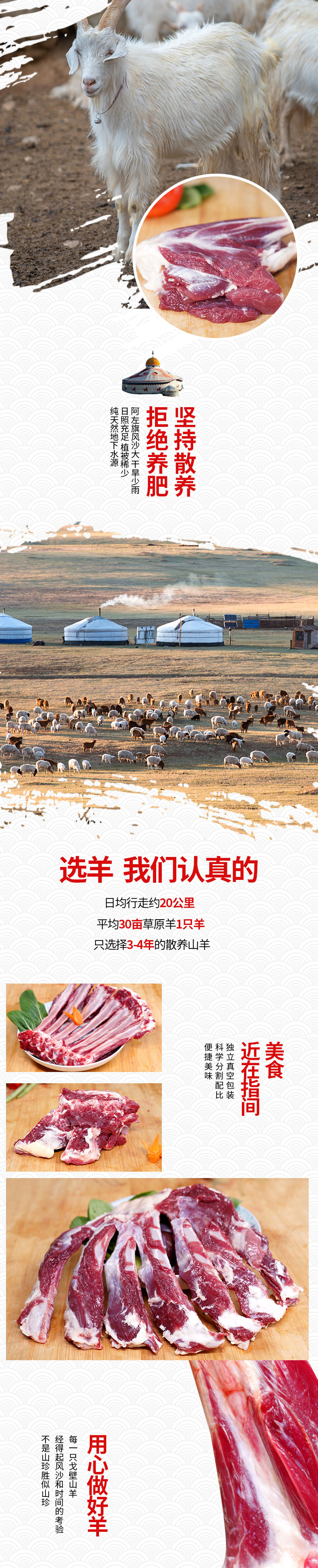 阿拉善戈壁滩山羊-1_02.jpg